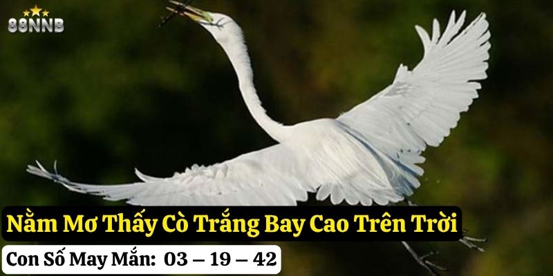 nằm mơ thấy cò trắng