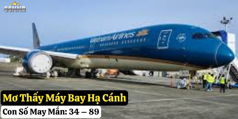 mơ thấy đi máy bay
