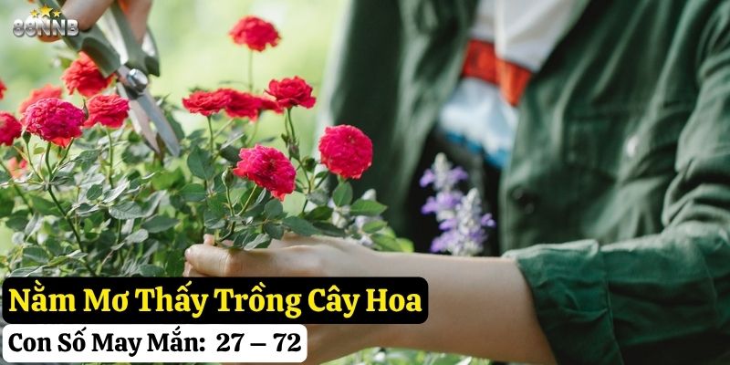 nằm mơ thấy trồng cây