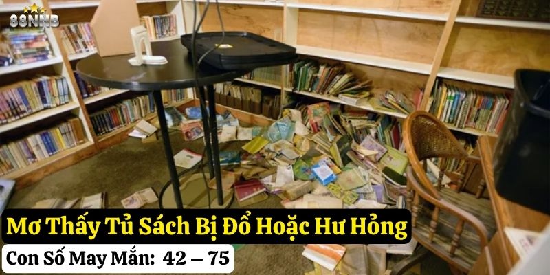 mơ thấy tủ sách