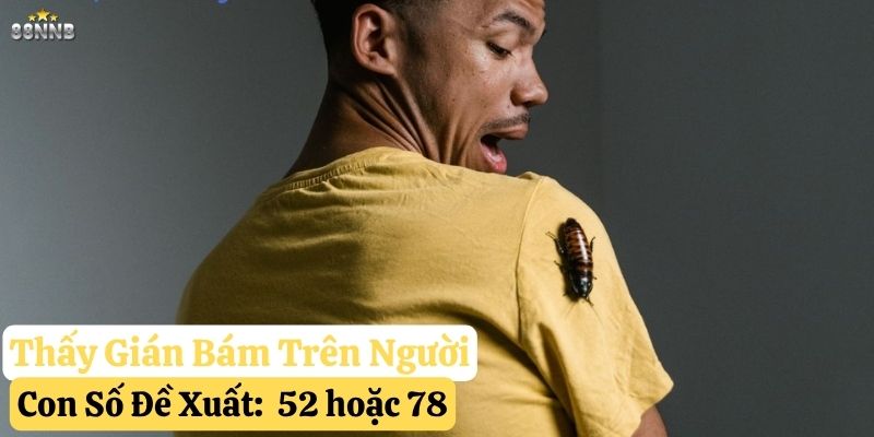 thấy con gián đánh con gì 88nn