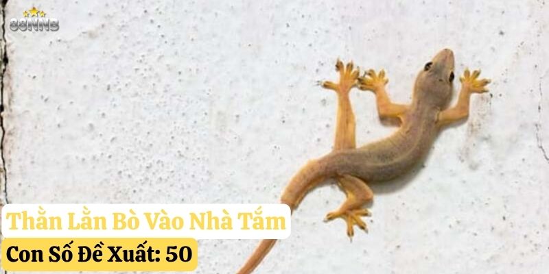 thằn lằn bò vào nhà 88nn