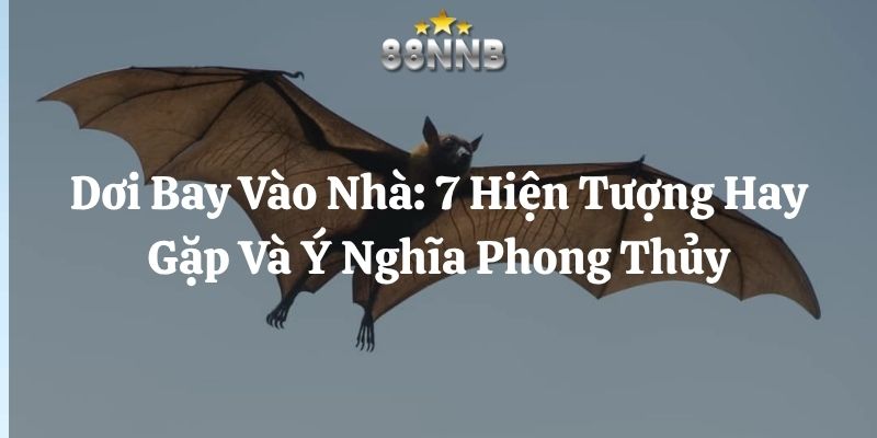 dơi bay vào nhà 88nn thumb