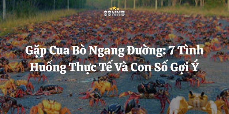 gặp cua bò ngang đường 88nn thumb