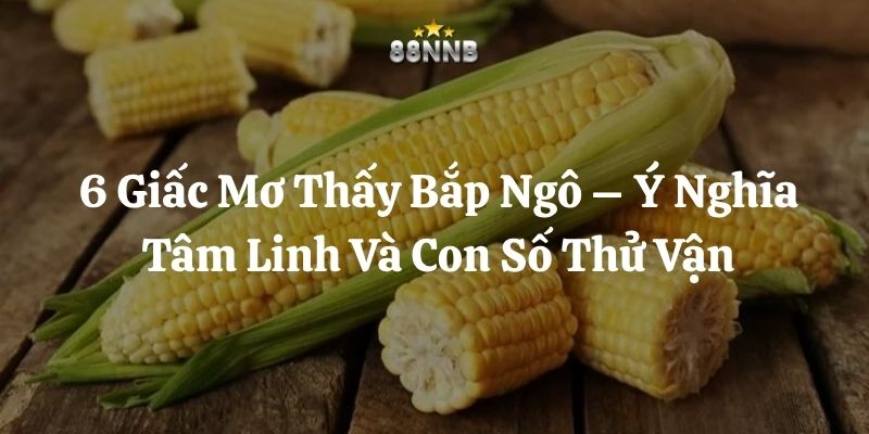 mơ thấy bắp ngô 88nn thumb
