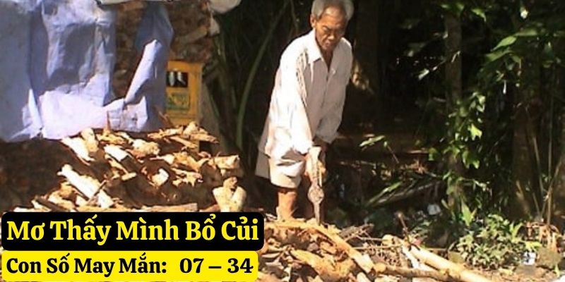 mơ thấy bổ củi