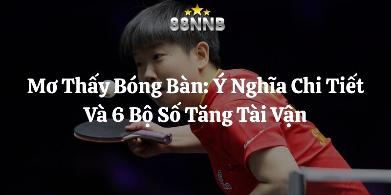 mơ thấy bóng bàn 88nn thumb