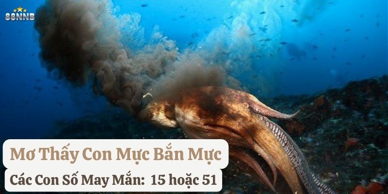 mơ thấy con mực