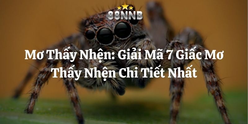 mơ thấy nhện 88nn thumb