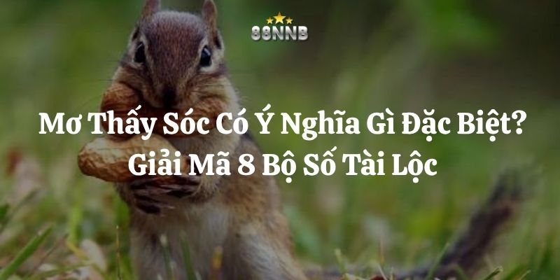 mơ thấy sóc 88nn thumb