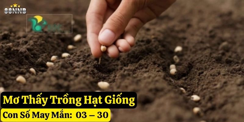 mơ thấy trồng cây