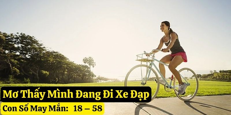 mơ thấy xe đạp