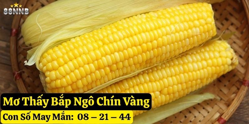 mơ thấy bắp ngô 88nn