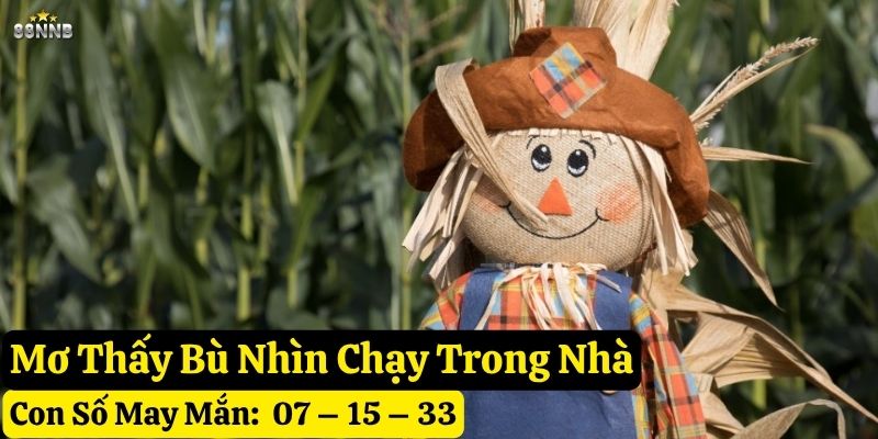 nằm mơ thấy bù nhìn