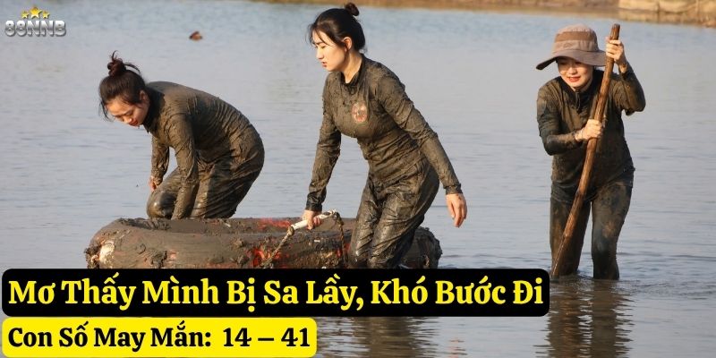 nằm mơ thấy bùn lầy