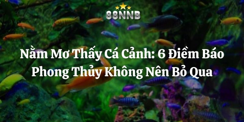 nằm mơ thấy cá cảnh 88nn thumb