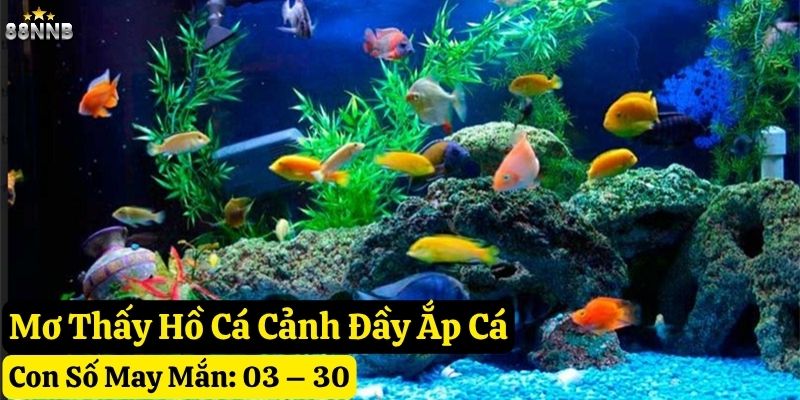 mơ thấy cá cảnh