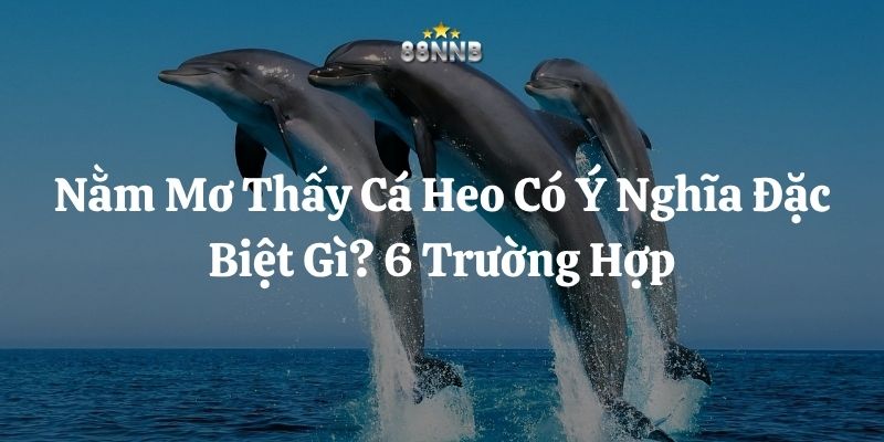 nằm mơ thấy cá heo 88nn thumb