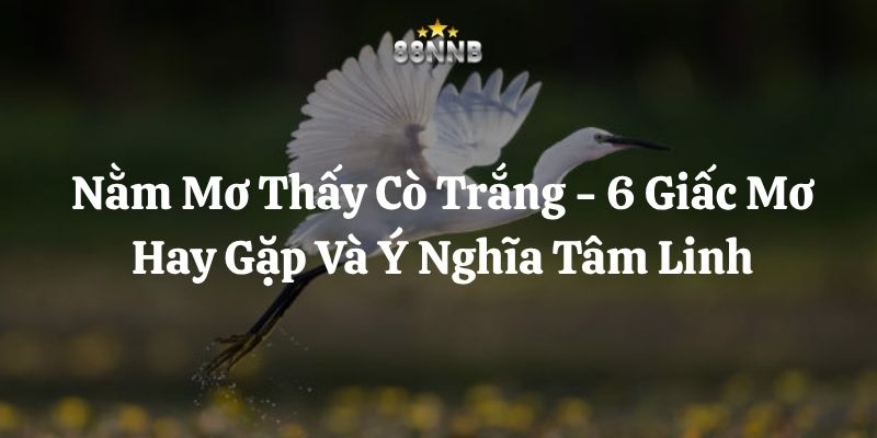 nằm mơ thấy cò trắng 88nn thumb