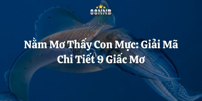 nằm mơ thấy con mực 88nn thumb