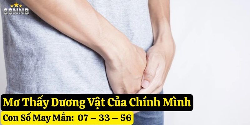 nằm mơ thấy dương vật