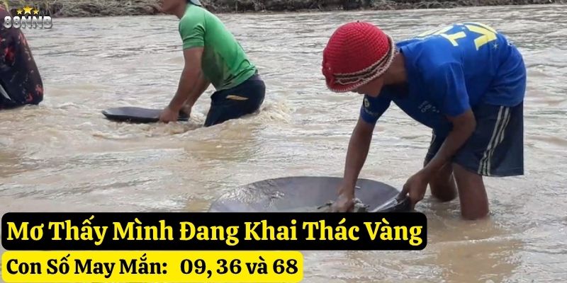 nằm mơ thấy khai thác vàng