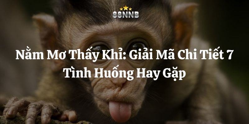 nằm mơ thấy khỉ 88nn thumb