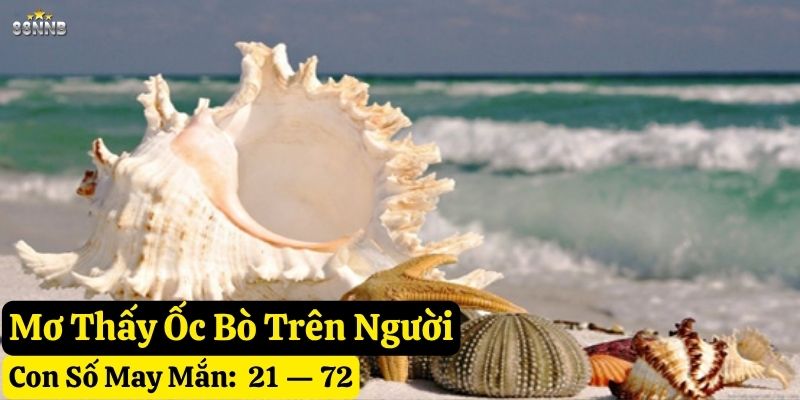 nằm mơ thấy ốc