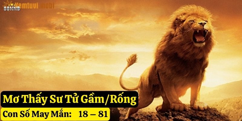 nằm mơ thấy sư tử