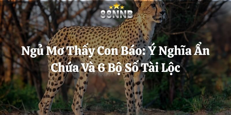 ngủ mơ thấy con báo 88nn thumb