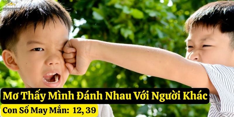 nằm mơ đánh nhau