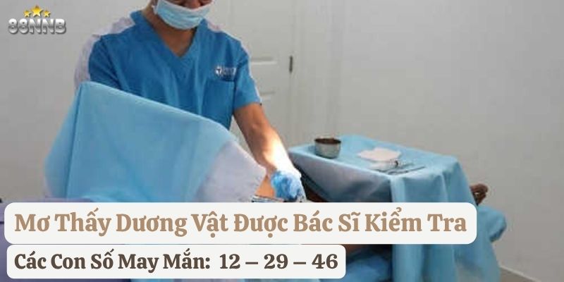 nằm mơ dương vật