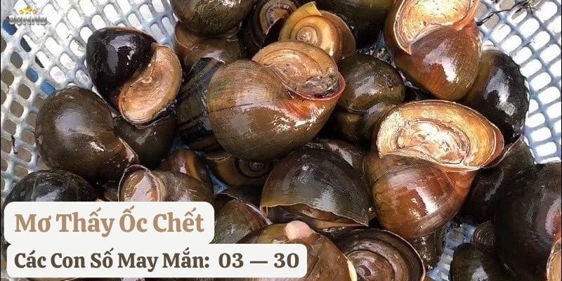 ngủ mơ thấy ốc