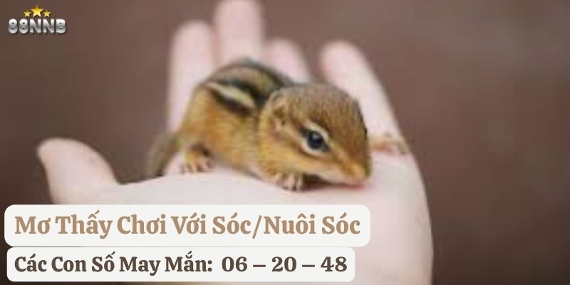 nằm mơ sóc
