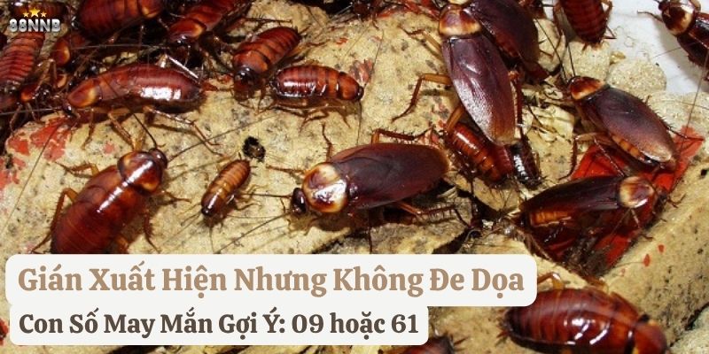 thấy con gián đánh gì