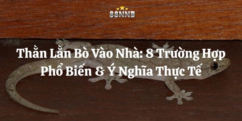 thằn lằn bò vào nhà 88nn thumb