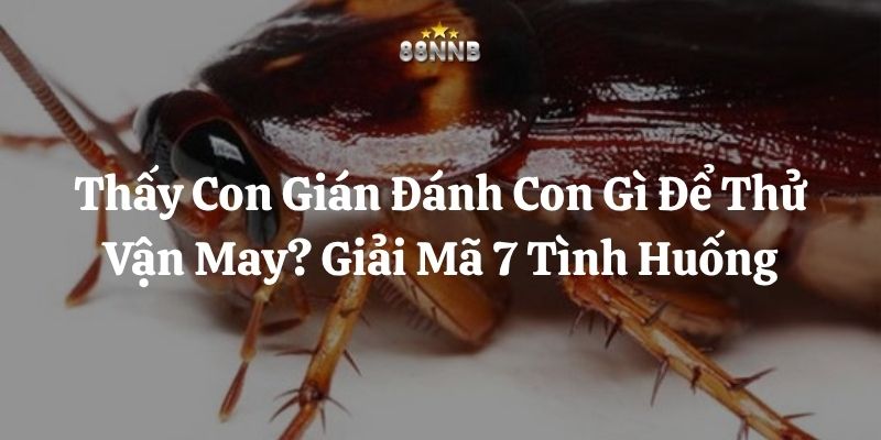 thấy con gián đánh con gì 88nn thumb