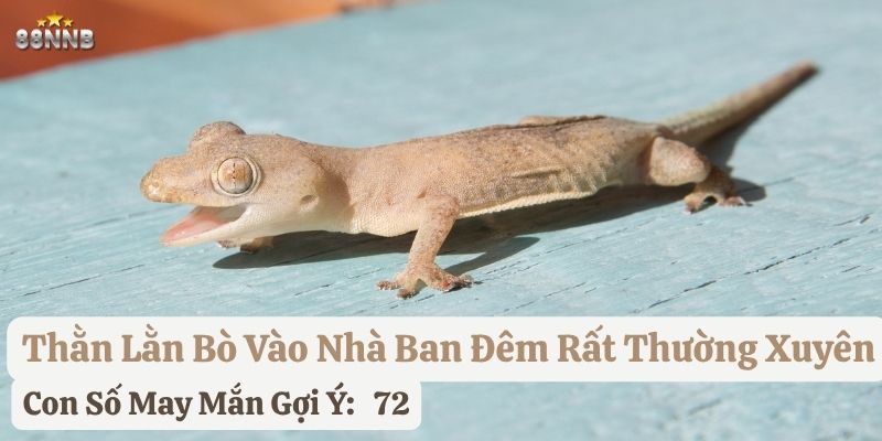 thấy thằn lằn bò vào