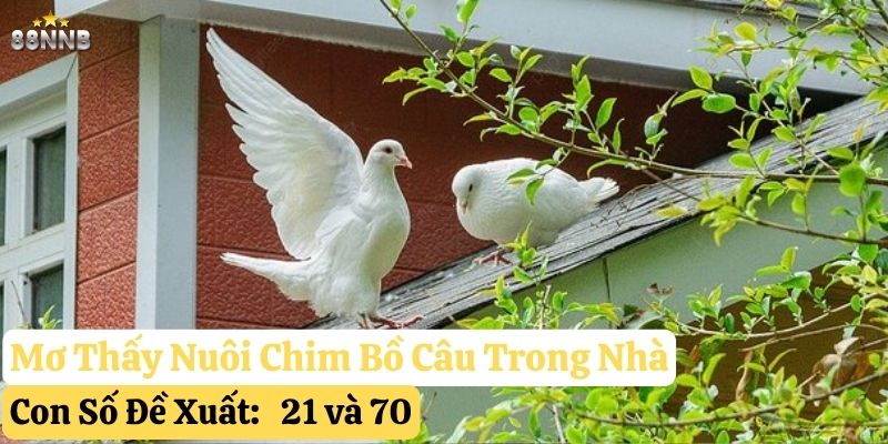 nằm mơ thấy chim bồ câu 88nn