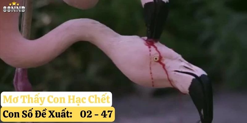 mơ thấy con hạc 88nn