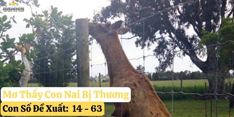 mơ thấy con nai 88nn