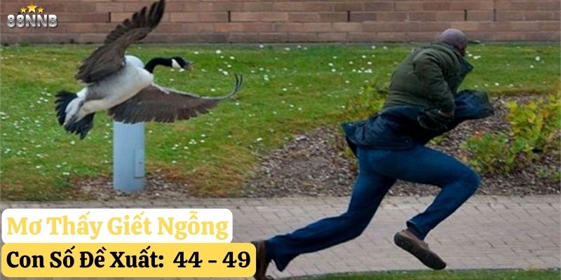 mơ thấy con ngỗng 88nn