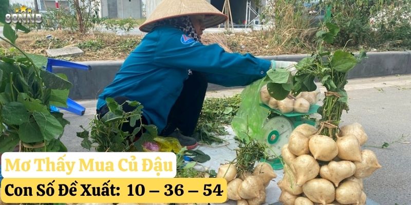 mơ thấy củ đậu 88nn