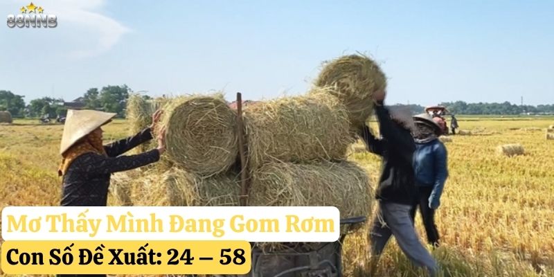 mơ thấy đống rơm 88nn