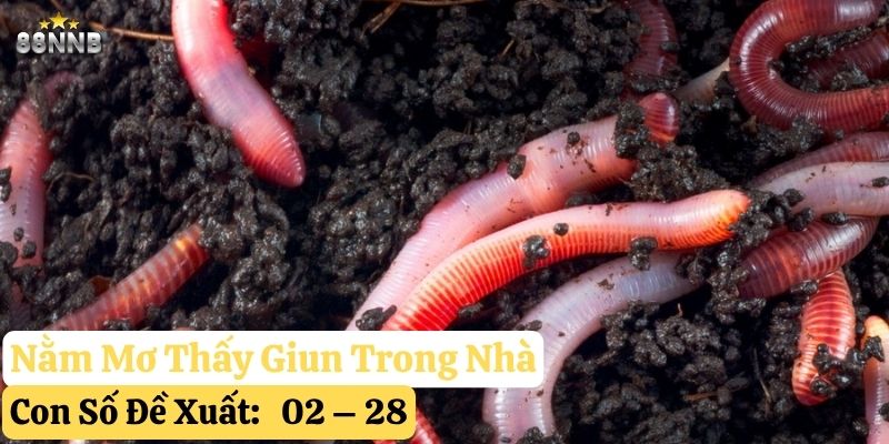 nằm mơ thấy giun 88nn