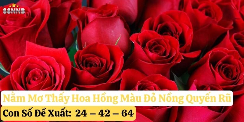 nằm mơ thấy hoa hồng 88nn