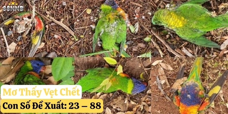 mơ thấy vẹt 88nn