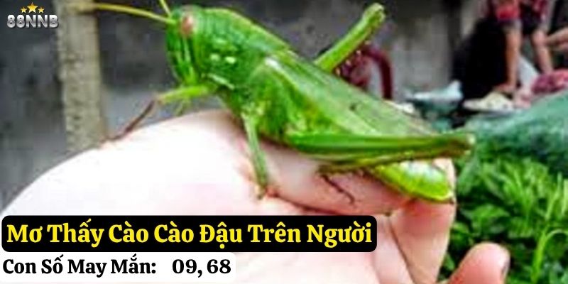 mơ thấy cào cào