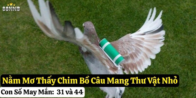 nằm mơ thấy chim bồ câu