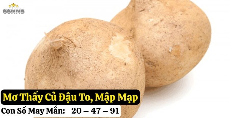 mơ thấy củ đậu